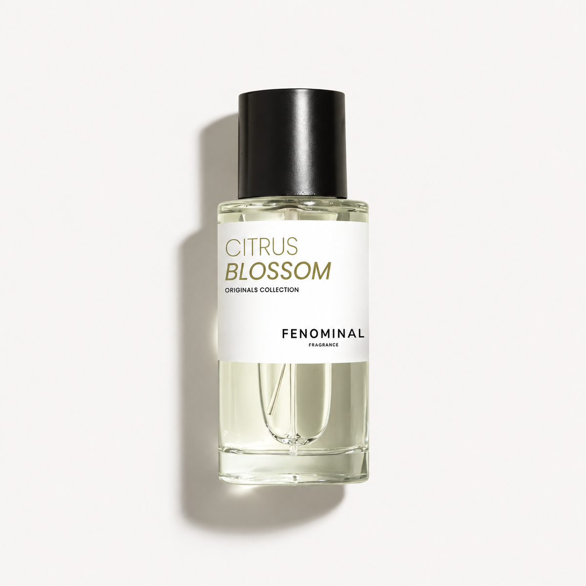 Citrus Blossom
